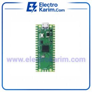 Microcontrôleur Raspberry Pi RP2040